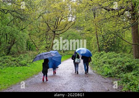 Vista posteriore di una famiglia che tiene ombrelloni mentre si cammina sotto la pioggia su una pista di campagna nelle colline Surrey Inghilterra Regno Unito Foto Stock