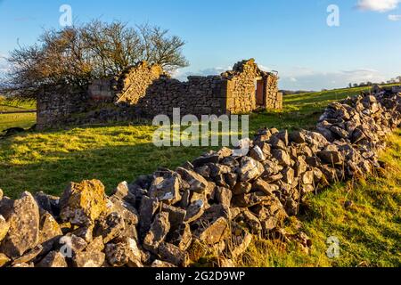 Muro di pietra arenaria e vecchio fienile di campo nel mese di marzo a Middleton Top vicino a Wirksworth sulla High Peak Trail nel Derbyshire Dales Peak District Inghilterra Regno Unito Foto Stock