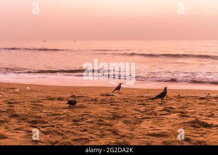 Elliot's Beach a Chennai la mattina Foto Stock