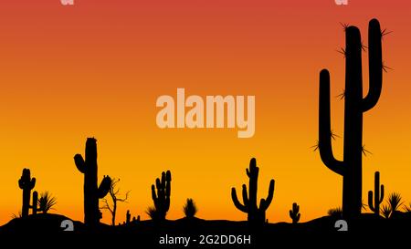 Silhouette di cactus diversi al tramonto con un cielo senza nuvole nel deserto. Tramonto nel deserto con cielo limpido senza nuvole con una bella pendenza. Foto Stock