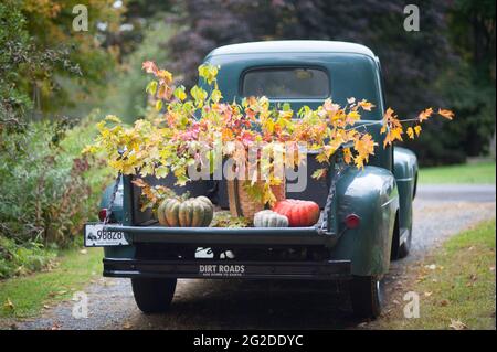 Vintage pick-up camion con zucche, Gourds, e un cestino di raccolta con rami acero su strada sterrata in Fall Foliage Foto Stock