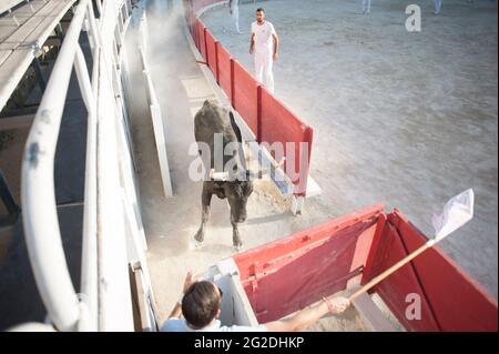 Immagini dall'arena romana / anfiteatro ad Arles dello sport di combattimento dei tori. Foto Stock