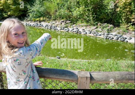 Un'esperienza in famiglia uno zoo speciale per rettili chiamato Alligator Bay nel nord della Francia. Foto Stock