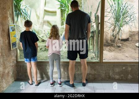 Un'esperienza in famiglia uno zoo speciale per rettili chiamato Alligator Bay nel nord della Francia. Foto Stock