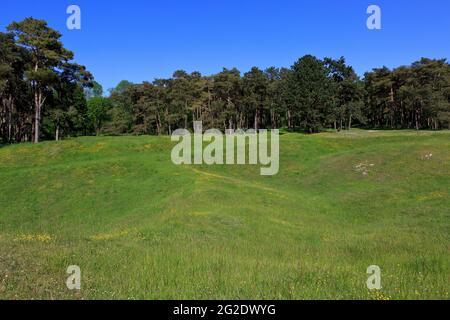 Crateri della prima guerra mondiale al Canadian National Vimy Memorial e Battlefield Park a Givenchy-en-Gohelle (Pas-de-Calais), Francia Foto Stock