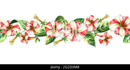 Fiori rossi e bianchi bordo senza giunture. Acquerello Foto Stock