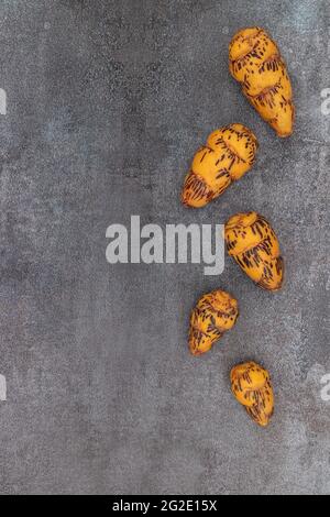 Oca, tubero utilizzato nella cucina peruviana e le Ande americane Foto Stock