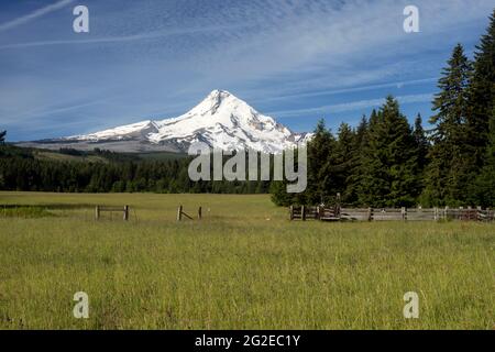 Mount Hood visto da un prato vicino a Parkdale, Oregon in primavera. Foto Stock