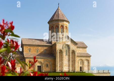 Cattedrale di Agia Nina al Convento di Bodbe in primavera, Georgia Foto Stock