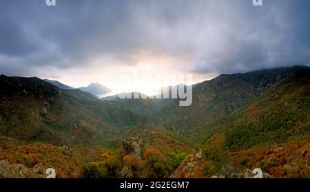 FRANCIA. CORSICA DEL SUD (2A) BAIA DI GIROLATA Foto Stock