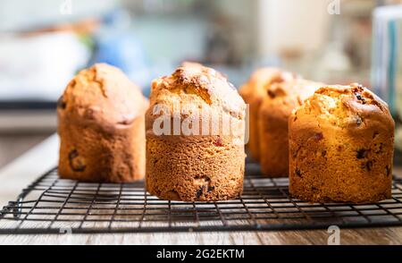 Muffin con frutta secca su griglia in metallo nero. Concetto di panificio o forno fatto in casa. Messa a fuoco selettiva. Foto Stock