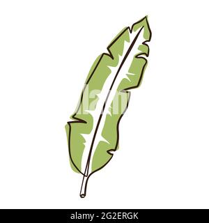 Elemento di botany esotico in stile linea continua per logo, emblema, modello di botany, web, stampe Illustrazione Vettoriale