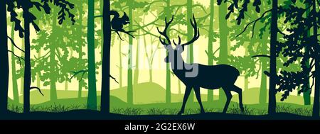 Banner orizzontale del paesaggio forestale. Cervi con antlers nella magica foresta di misty. Scoiattolo sul ramo. Sagome di alberi e animali. Sfondo verde Illustrazione Vettoriale