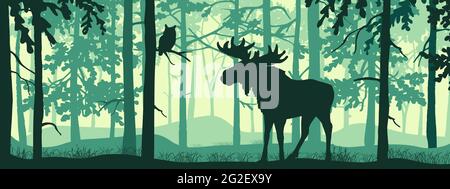 Banner orizzontale del paesaggio forestale. Moose con le formiche in una foresta magica e misteriosa. OWL in ramo. Sagome di alberi e animali. Sfondo blu e verde Illustrazione Vettoriale