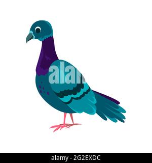 Icona piatta Pigeon. Elemento vettoriale colorato della collezione di uccelli. Icona del Pigeon creativo per il web design, i modelli e le infografiche. Illustrazione Vettoriale