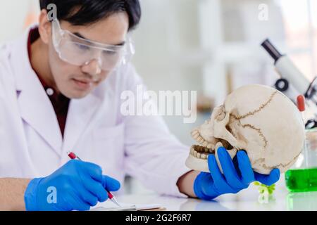 Asian Maschile lavora in Physical Scientist e Antropology in biologia laboratorio di ricerca di studio in ossa e cranio umani. Foto Stock