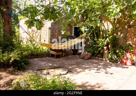 Un'amaca in un albero di fico fuori di una vecchia casa colonica -- UN fine settimana a Brooklyn House, Martham Foto Stock