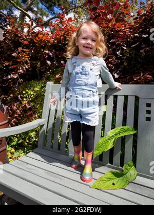 Tre anni in piedi su una panchina nel giardino, Devon, Regno Unito Foto Stock