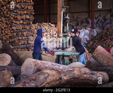 Due Turkısh lumberjack tagliano e prepara legna da ardere per la vendita e la produzione di carbone in un laboratorio su una macchina da sega da tavolo, macchina per il taglio del legno. Foto Stock