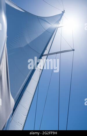 Vela con il vento a mare aperto, concetto di vacanze estive. Vele riempite di vento da yacht su sfondo blu chiaro del cielo. Guardando verso il cielo, sole shi Foto Stock