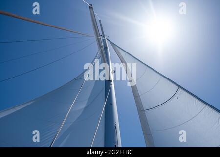 Vele riempite di vento da yacht su sfondo blu chiaro del cielo. Vela con il vento a mare aperto, concetto di vacanze estive. Guardando verso il cielo, sole cenere Foto Stock