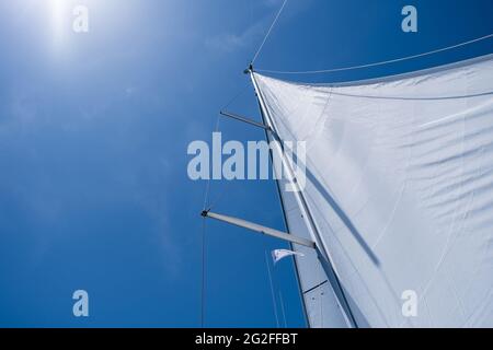 Vela con il vento a mare aperto, concetto di vacanze estive. Vele riempite di vento da yacht su sfondo blu chiaro del cielo. Guardando verso il cielo, sole shi Foto Stock