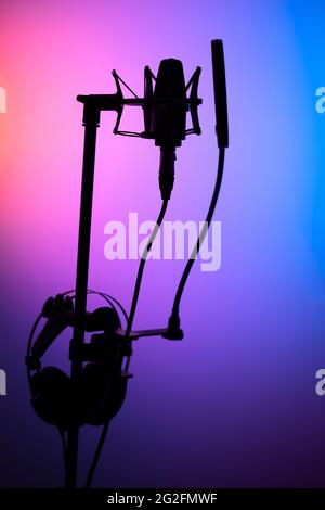 Microfono cardioide a diaframma grande in studio VoiceOver in studi professionali di registrazione vocale. Foto Stock