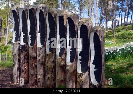 Facce parlanti su 'Logs of Dialogue' Sculpture al Himalayan Garden & Sculpture Park, Grewelthorpe, Ripon, North Yorkshire, Inghilterra, REGNO UNITO. Foto Stock