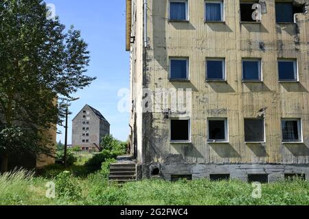 Pasewalk, Germania. 10 Giugno 2021. Case fatiscenti sul sito di un'ex impresa agricola della RDT. Fino alla caduta del Muro, questo fu il sito di un impianto concentrato di miscelazione dei mangimi di VEB Getreidewirtschaft Pasewalk. Credit: Jens Kalaene/dpa-Zentralbild/dpa/Alamy Live News Foto Stock