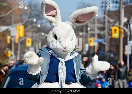 Toronto 2016 Beaches Lions Club Easter Parade: Il coniglio di Pasqua saluta il pubblico. La sfilata celebra il suo 50° anniversario nella Queen Street East Foto Stock