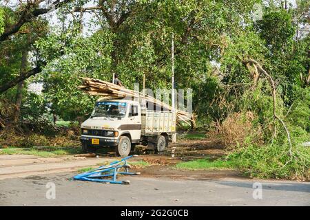 Kolkata, Bengala Occidentale, India - 28 Maggio 2020 : Super ciclone Amphan albero sradicato che cadde e bloccava il tram. Un camion che trasporta bambù è arrivato a c Foto Stock