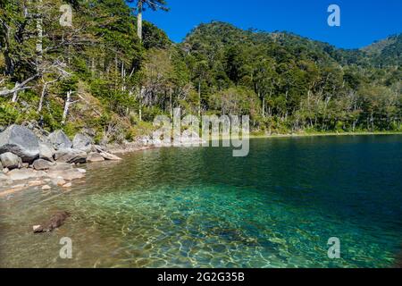 Lago Verde nel Parco Nazionale Huerquehue, Cile Foto Stock