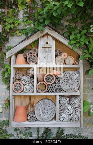 Insect Hotel che fornisce buchi di nesting per una varietà di Minibeast Foto Stock
