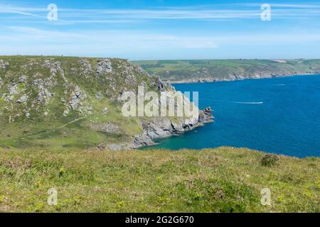 Il South West Coastal Path tra Salcombe e Hope Cove nel South Hams, devon, Regno Unito Foto Stock