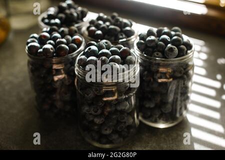 Mirtilli in vasi di vetro per la conservazione. Foto Stock