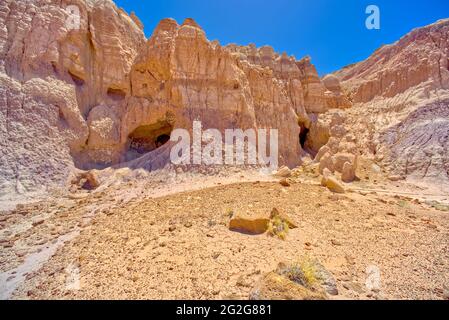 Cave Entrances lungo Red Basin Trail nella Foresta pietrificata AZ Foto Stock