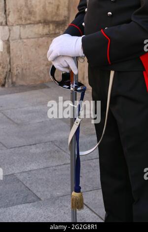 Distintivo elegante logo araldico Carabinieri – TommyD'Ago