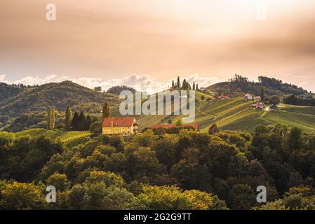 Vigneti della Stiria Toscana in autunno vicino a Eckberg, Gamliz, Stiria, Austria Foto Stock