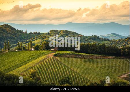 Vigneti della Stiria Toscana in autunno vicino a Eckberg, Gamliz, Stiria, Austria Foto Stock