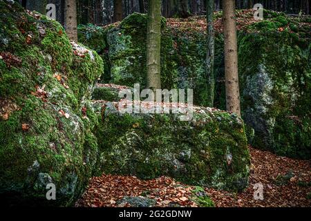 Druid boschetto in Franconia Svizzera, Baviera Foto Stock