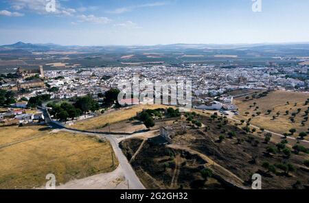 Foto panoramica del drone di Osuna, Siviglia e un campo di ulivi Foto Stock