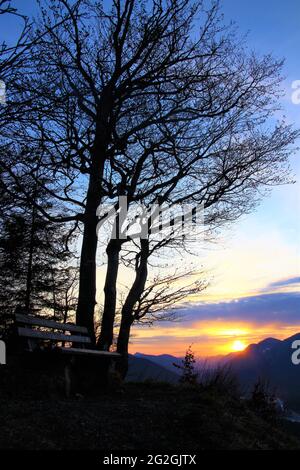 Alba a Krepelschrofen vicino a Wallgau, posti a sedere in attesa dei primi visitatori, faggio prima dell'alba, Europa, Germania, Baviera, Alta Baviera, Valle d'Isar, Werdenfelser Land, Wallgau Foto Stock