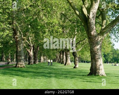 Londra, Greater London, Inghilterra - 27 maggio 2021: 2 poliziotti che camminano attraverso gli alberi di Hyde Park indossando giacche di alta visibilità Foto Stock