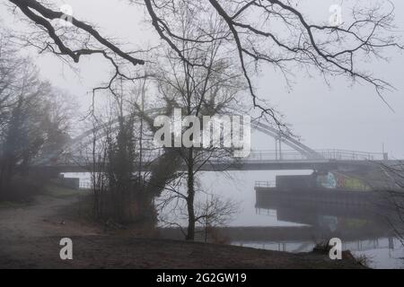 Bella vista del lago e dei rami dell'albero vicino alla riva in una giornata cupa Foto Stock