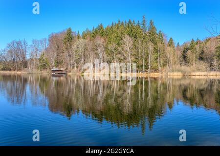 Germania, Baviera, alta Baviera, Pfaffenwinkel, Weilheim, Distretto Hirschberg am Haarsee, Haarsee Foto Stock