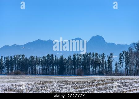 Germania, Baviera, alta Baviera, distretto di Rosenheim, Markt Bruckmühl, Distretto Weihenlinden, paesaggio culturale contro il massiccio di Wendelstein Foto Stock