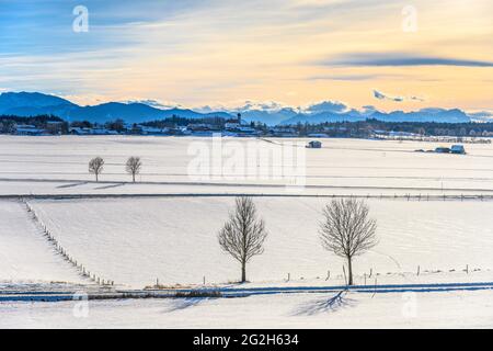 Germania, Baviera, alta Baviera, Tölzer Land, Dietramszell, Distretto Lochen, paesaggio invernale contro catena alpina Foto Stock