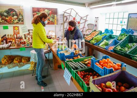 Welver, Soest District, Sauerland, Nord Reno-Westfalia, Germania - negozio di fattoria, cliente acquista verdure nel negozio di azienda agricola di Gemuesehof Buschhoff in tempi della pandemia di Corona in conformità con l'ordinanza di protezione Corona, con requisiti maschera e distanza minima. Foto Stock