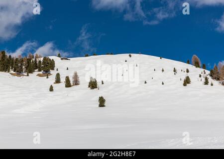 Paesaggio innevato in Val Gardena, Grödner Joch, Sellaronda, Alto Adige, Alto Adige, Dolomiti, Italia, Europa Foto Stock