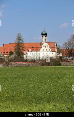 Basilica di San Benedikt, Abbazia benedettina Kloster Benediktbeuern, in primo piano prato di dente di leone in primavera, vecchio muro di pietra e frutteto, Benediktbeuern, alta Baviera, Baviera, Germania Foto Stock